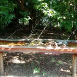 photo 2021-07-23 09-56-53