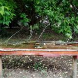 photo 2021-05-16 11-44-49