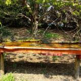 photo 2021-04-21 12-53-20