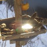 photo 2019-01-27 10-10-04