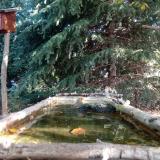 photo 2023-10-12 10-09-19