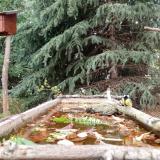 photo 2023-10-20 14-31-12