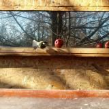 photo 2022-01-15 11-30-17