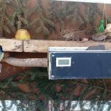 photo 2021-02-12 09-45-32