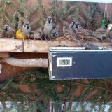 photo 2021-02-15 09-23-29