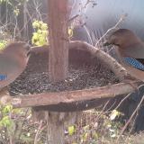 photo 2019-12-19 09-22-19