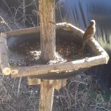 photo 2019-02-23 12-29-45