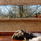 photo 2022-01-24 14-08-18