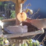 photo 2019-12-03 14-01-26