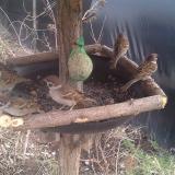 photo 2019-02-10 14-53-39