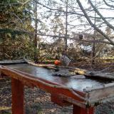 photo 2022-03-13 07-07-42