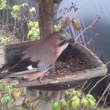 photo 2019-12-10 10-08-56