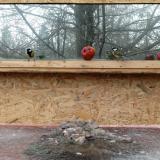 photo 2022-01-16 10-36-53