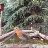 photo 2023-10-13 17-22-31