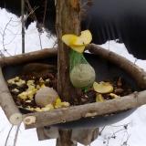 photo 2019-01-12 12-02-54