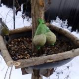 photo 2019-01-09 14-04-15