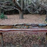 photo 2021-10-25 17-48-34