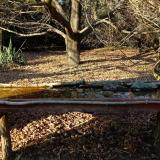 photo 2021-10-29 15-34-51