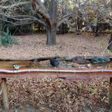 photo 2021-10-26 07-54-28