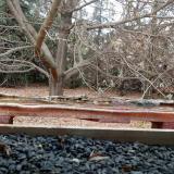 photo 2021-11-01 15-05-56