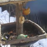 photo 2019-01-29 10-54-55