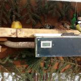 photo 2021-02-11 14-19-03