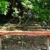 photo 2021-05-15 09-19-53