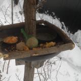 photo 2019-01-23 08-21-50