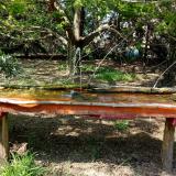 photo 2021-04-24 15-19-55