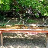 photo 2021-05-05 12-40-30