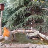 photo 2023-10-13 17-19-10