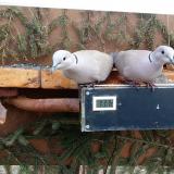 photo 2021-03-06 11-24-23