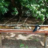 photo 2021-07-14 10-36-32