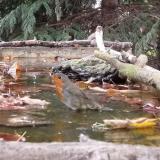 photo 2023-10-09 15-40-11