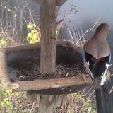 photo 2019-12-22 13-05-28