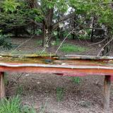 photo 2021-04-26 16-21-13