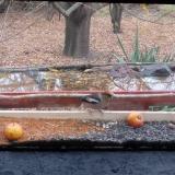 photo 2021-11-07 08-17-06