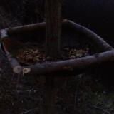 photo 2019-01-04 07-00-59