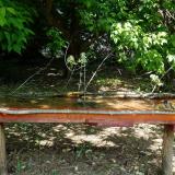 photo 2021-05-15 10-39-48