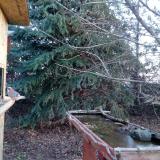 photo 2021-12-13 08-13-35