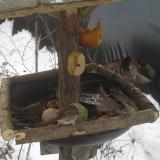 photo 2019-01-28 09-20-33