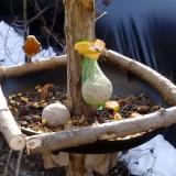 photo 2019-01-17 10-03-25