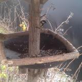 photo 2019-12-29 13-00-21