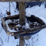 photo 2019-01-06 11-16-05