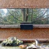 photo 2023-10-26 14-24-47