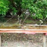 photo 2021-05-13 12-40-35