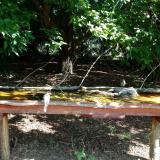 photo 2021-08-11 09-58-19