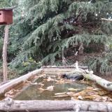 photo 2023-10-17 17-23-06