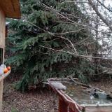 photo 2021-12-15 13-59-24