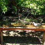 photo 2021-05-10 10-30-57